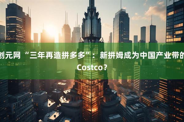 创元网 “三年再造拼多多”：新拼姆成为中国产业带的Costco？