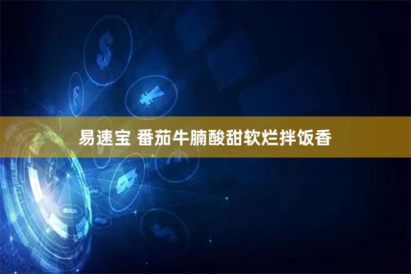 易速宝 番茄牛腩酸甜软烂拌饭香